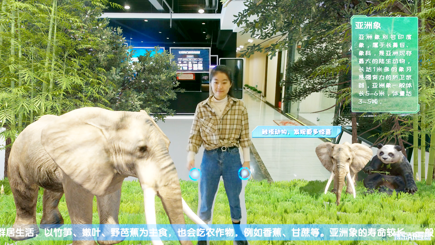 【新品推荐】博乐AR动物世界惊喜上线，快来PICK你最喜欢的小可爱